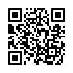 W33-T2N1Q-5 QRCode