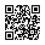 WW12JT1K20 QRCode