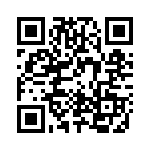 XR2P-1541 QRCode