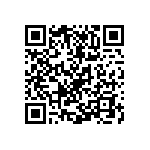 Y010410K0000T0L QRCode