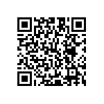 Y01113K87500T9L QRCode