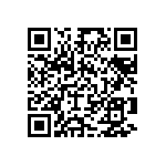 Y078530K0960A9L QRCode