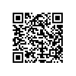 Y079338K3000T9L QRCode