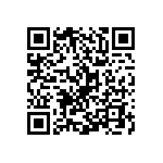 Y08753K90000T0L QRCode