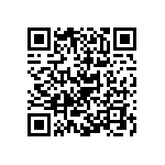 Y096030R0000F9L QRCode