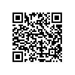 Y112116K0000T13R QRCode