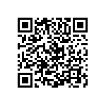 Y11217K32000T9R QRCode