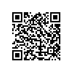 Y11691K25000B9L QRCode