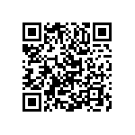 Y11699K09000T9L QRCode