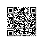 Y16241K24000T9R QRCode