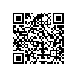 Y16241K60000T9W QRCode