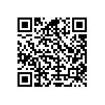 Y16241K66660T9R QRCode