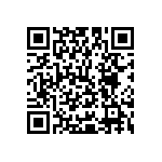 Y16241K80000T9W QRCode