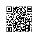 Y16245K10000T9W QRCode