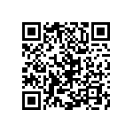 Y16245K11000B9R QRCode