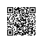 Y16245K49000T9R QRCode