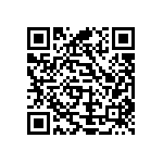 Y162511K5000B0W QRCode