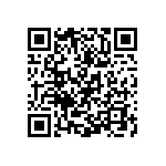 Y162516K0000T9W QRCode