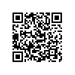 Y16251K06800T9R QRCode