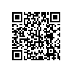 Y16251K11440T9R QRCode