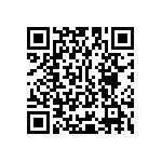 Y16251K25000T9R QRCode