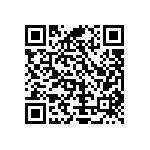 Y16251K60000T9W QRCode