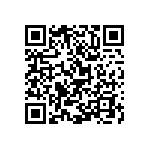 Y16251K80000B9W QRCode