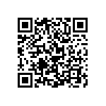 Y16251K80300T0R QRCode