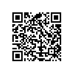 Y16251K87000B0R QRCode