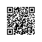 Y162720K9810T0W QRCode