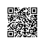 Y16293K00000T9W QRCode