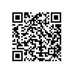 Y16295K00000B9R QRCode