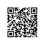 Y16295K00000T9R QRCode