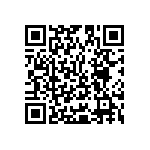 Y16297K50000T9W QRCode