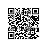 Y16303K01000T9R QRCode