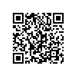 Y16304K99000T0W QRCode