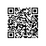 Y163395K3000T9W QRCode