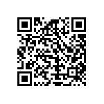 Y16361K20000T9R QRCode