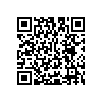 Y16361K20000T9W QRCode