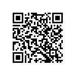 Y16902R50650B9L QRCode