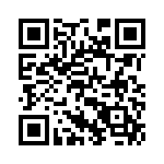 Y1691V0010TT0L QRCode