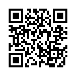 Y1691V0013BA9L QRCode