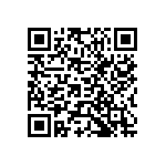 Y174513K3000B0R QRCode