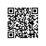 Y17451K15000B2R QRCode