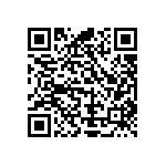 Y17451K37000Q2R QRCode