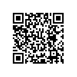 Y17456K04000T9L QRCode