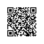 Y174613K3404B9R QRCode