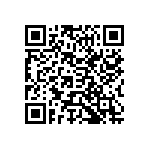 Y17461K33000A0R QRCode