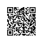 Y17461K40000T0L QRCode