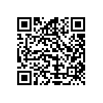 Y17463K33000T0R QRCode